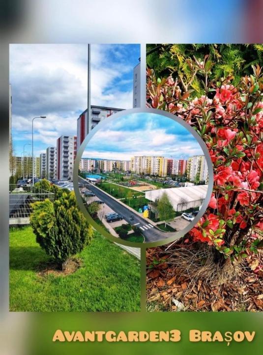 Fai Avantgarden Retreat Braşov Eksteriør billede